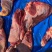 精品驴肉前后腿带腱子冷鲜速冻