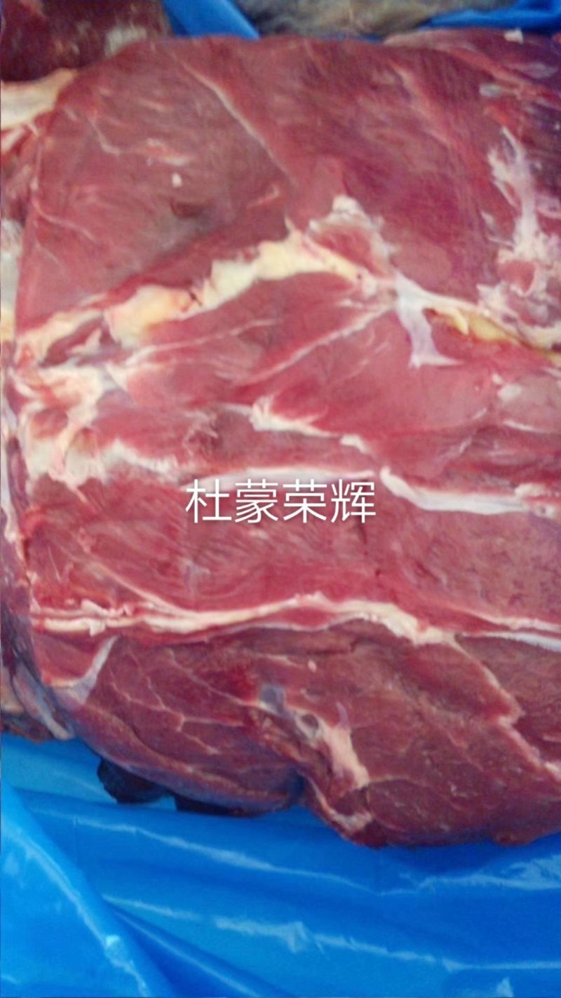 精品驴肉前后腿带腱子冷鲜速冻