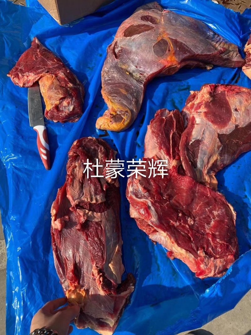 精品驴肉前后腿带腱子冷鲜速冻