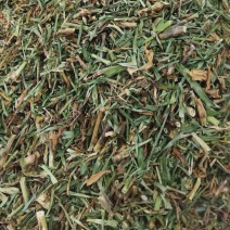 瞿麦【包邮】三斤起发货可批量可零售量大从优