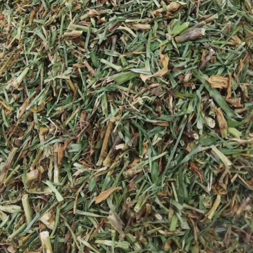 瞿麦【包邮】三斤起发货可批量可零售量大从优