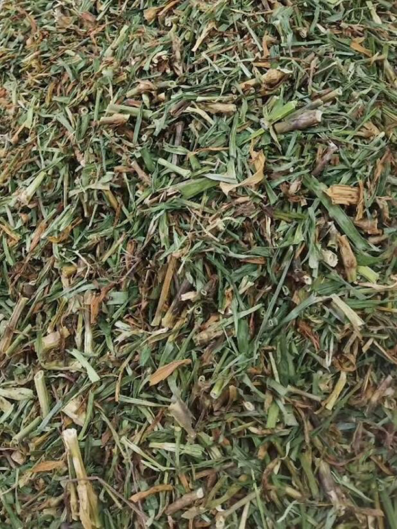 瞿麦【包邮】三斤起发货可批量可零售量大从优