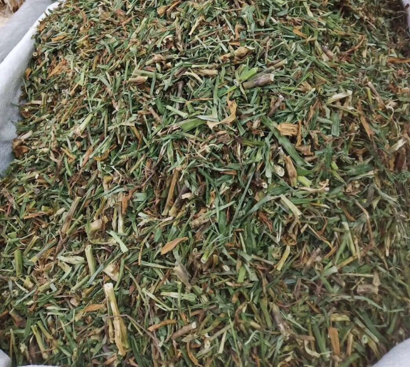 瞿麦【包邮】三斤起发货可批量可零售量大从优