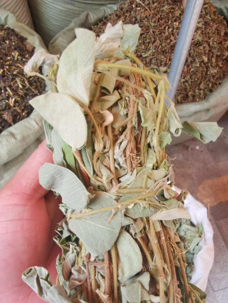 金钱草2020年新货产地货源