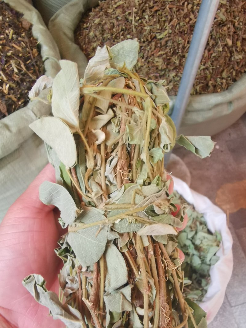 金钱草2020年新货产地货源
