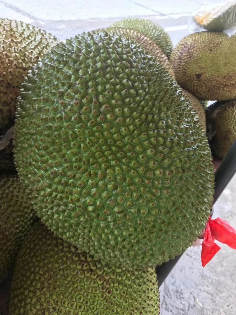菠萝蜜