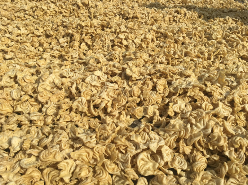 【推荐】蛋白肉人造肉豆制品花翅猫耳东北大豆耳