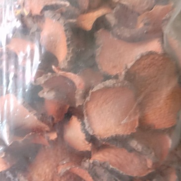 红药子，常年批发供应冷背中药材红药子
