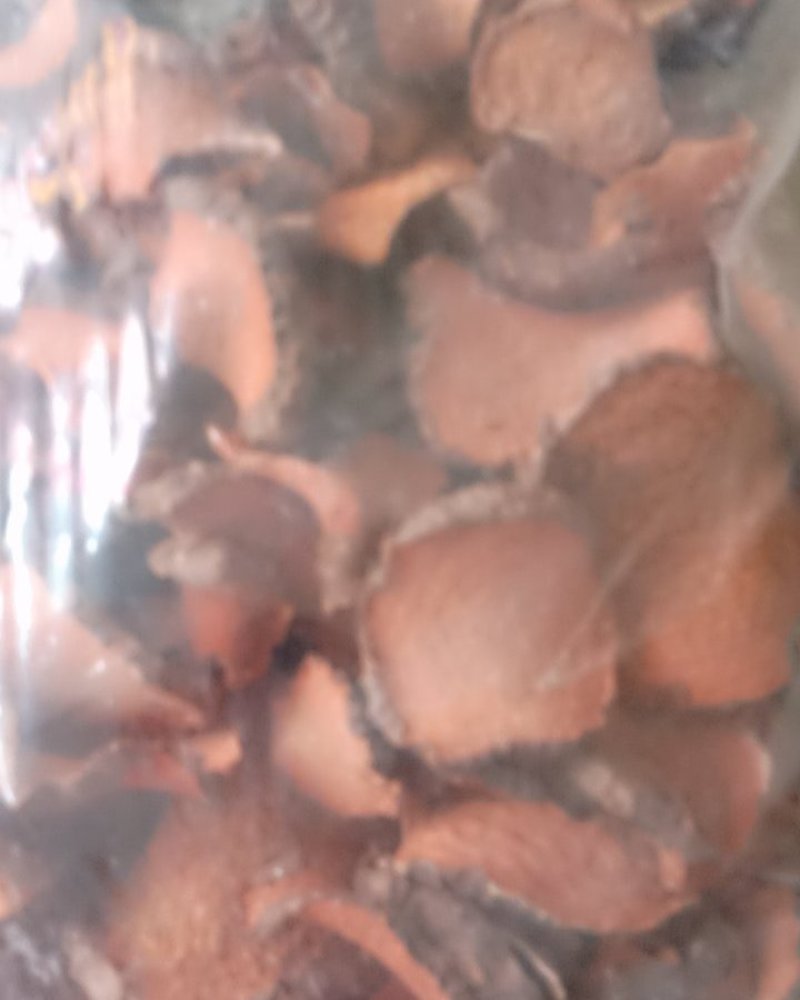 红药子，常年批发供应冷背中药材红药子