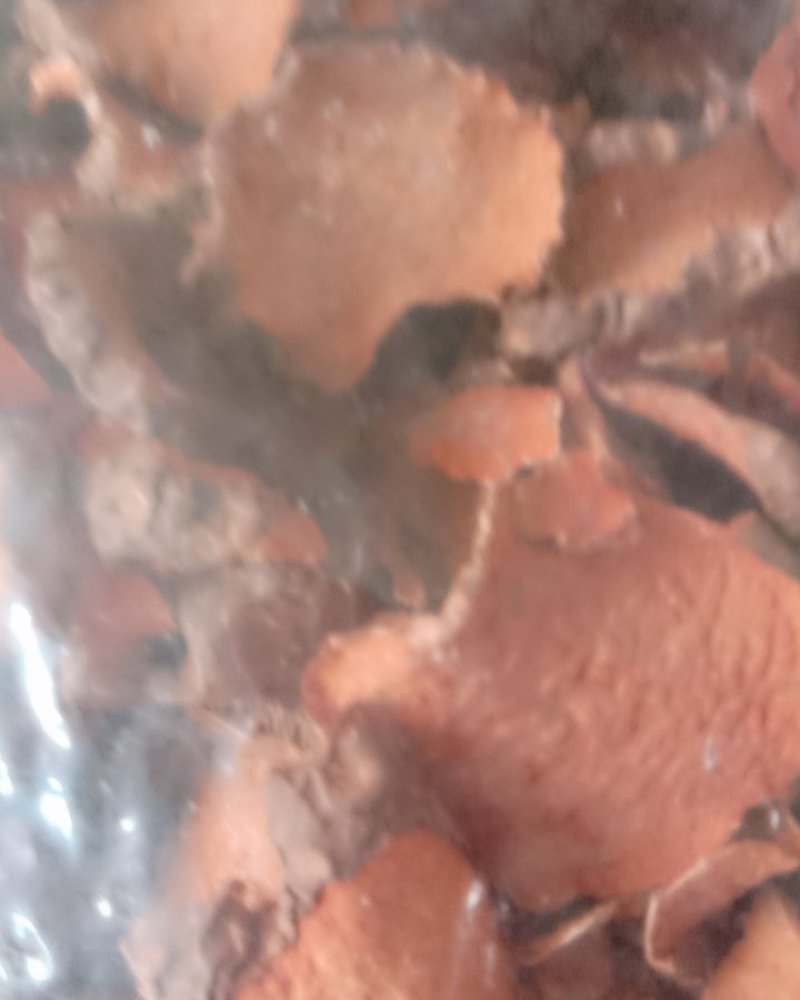 红药子，常年批发供应冷背中药材红药子