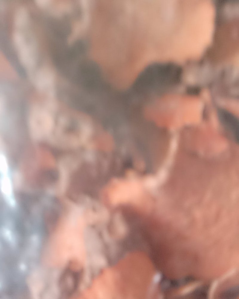 红药子，常年批发供应冷背中药材红药子
