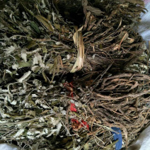 翻白草【包邮】三斤起发货可批量可零售量大从优