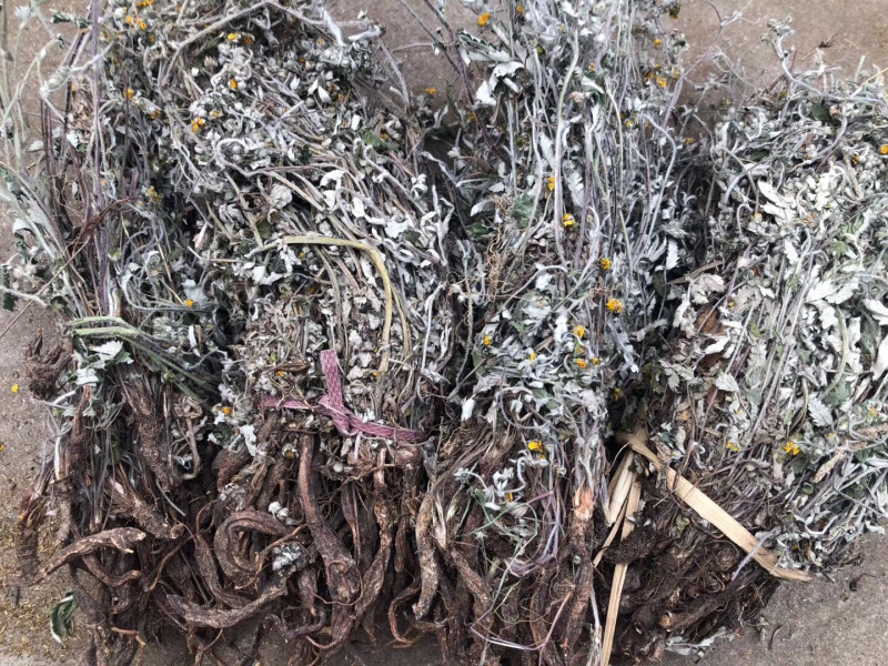 翻白草【包邮】三斤起发货可批量可零售量大从优