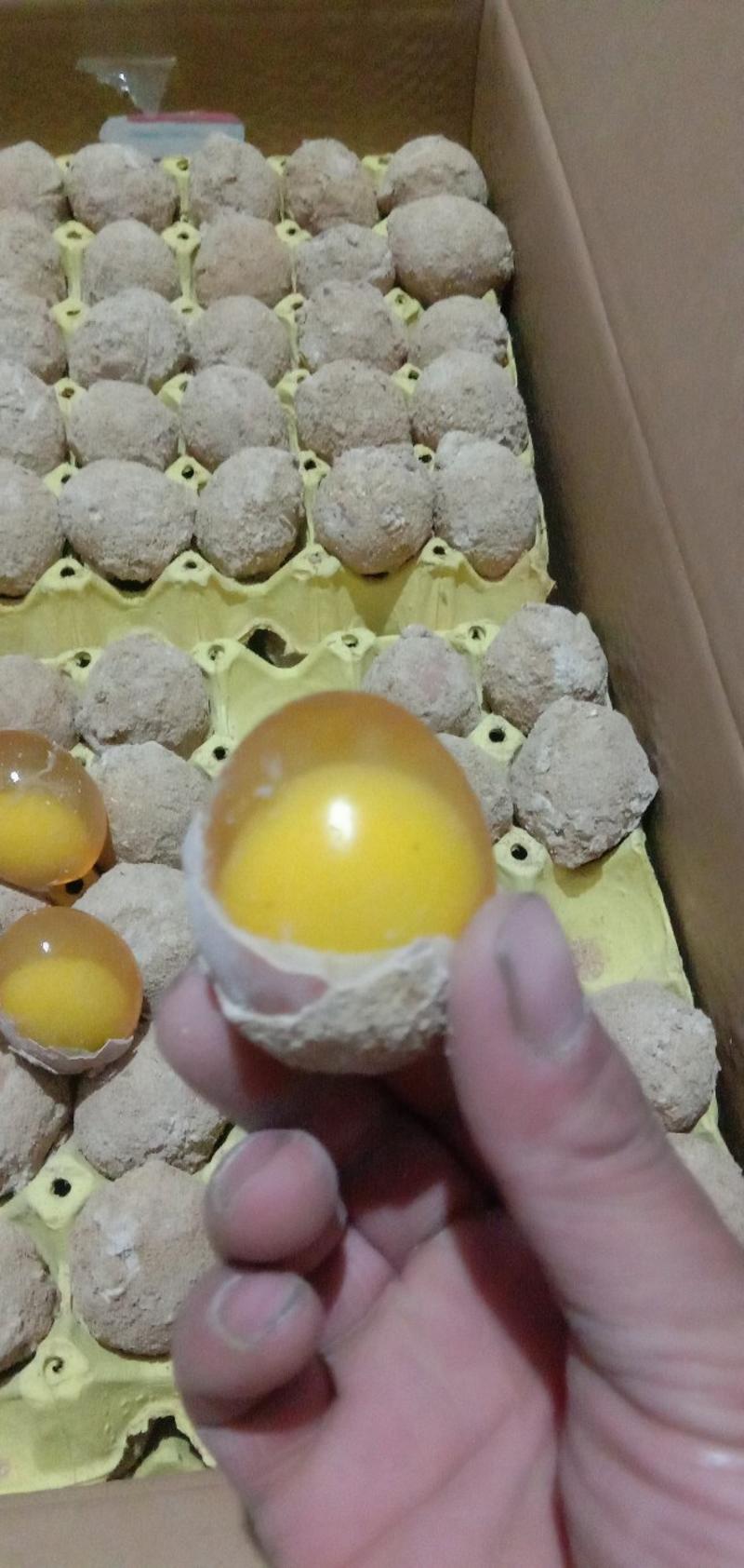 陕西精品五香鸡变蛋，保质保量大量供应，诚信为先