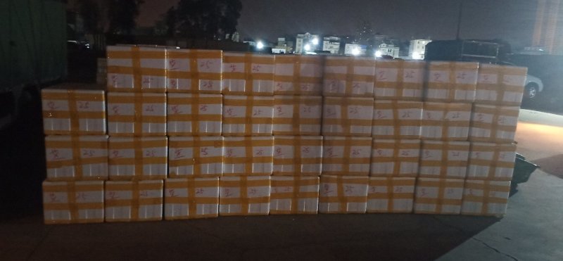 【热卖】云南芦蒿，自产自销，欢迎全国采购商咨询