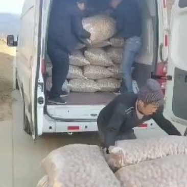 香玲核桃