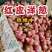 【红皮洋葱】8厘米以上基地直发，质优价廉欢迎新老客户订购