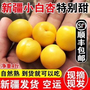 新疆小白杏4斤新鲜当季采摘水果轮台库车杏子非小红杏装顺丰