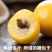 新疆小白杏4斤新鲜当季采摘水果轮台库车杏子非小红杏装顺丰