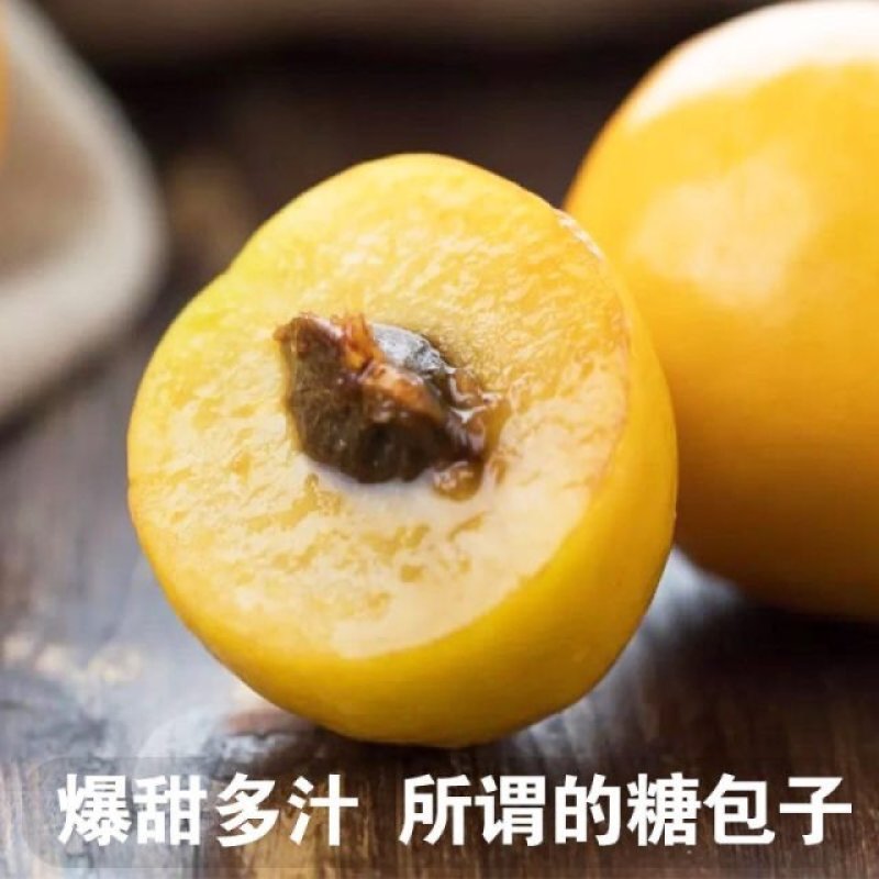 新疆小白杏4斤新鲜当季采摘水果轮台库车杏子非小红杏装顺丰
