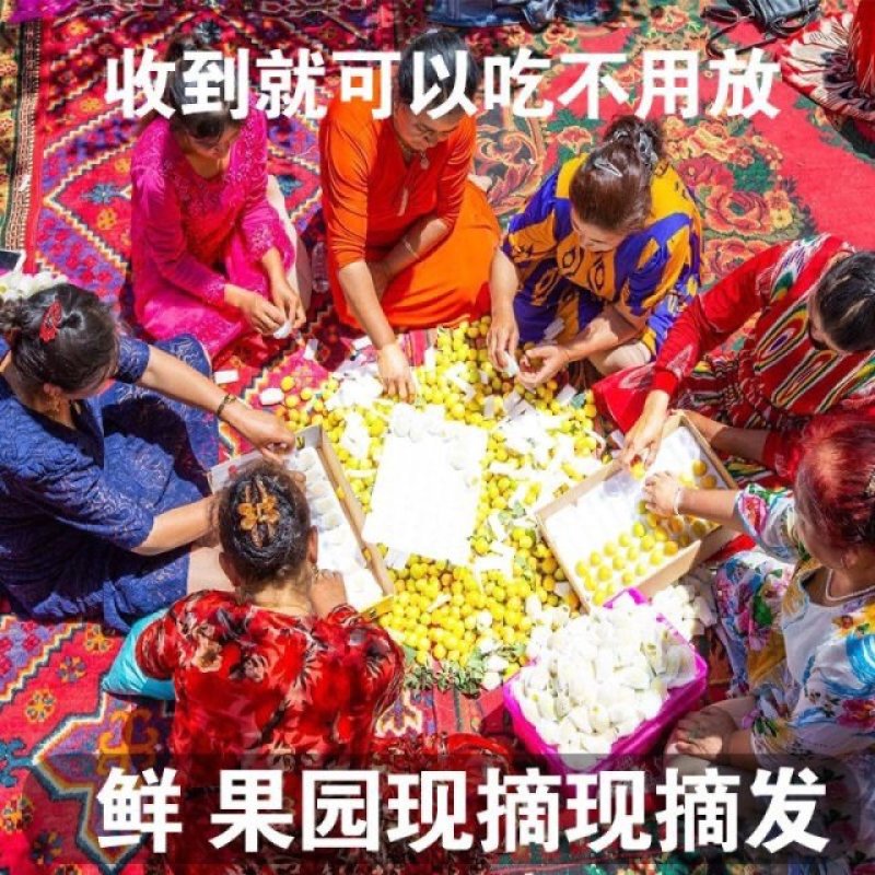 新疆小白杏4斤新鲜当季采摘水果轮台库车杏子非小红杏装顺丰