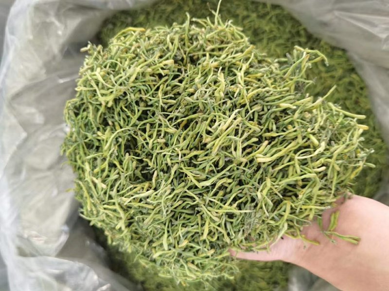 金银花无硫干青花专卖店