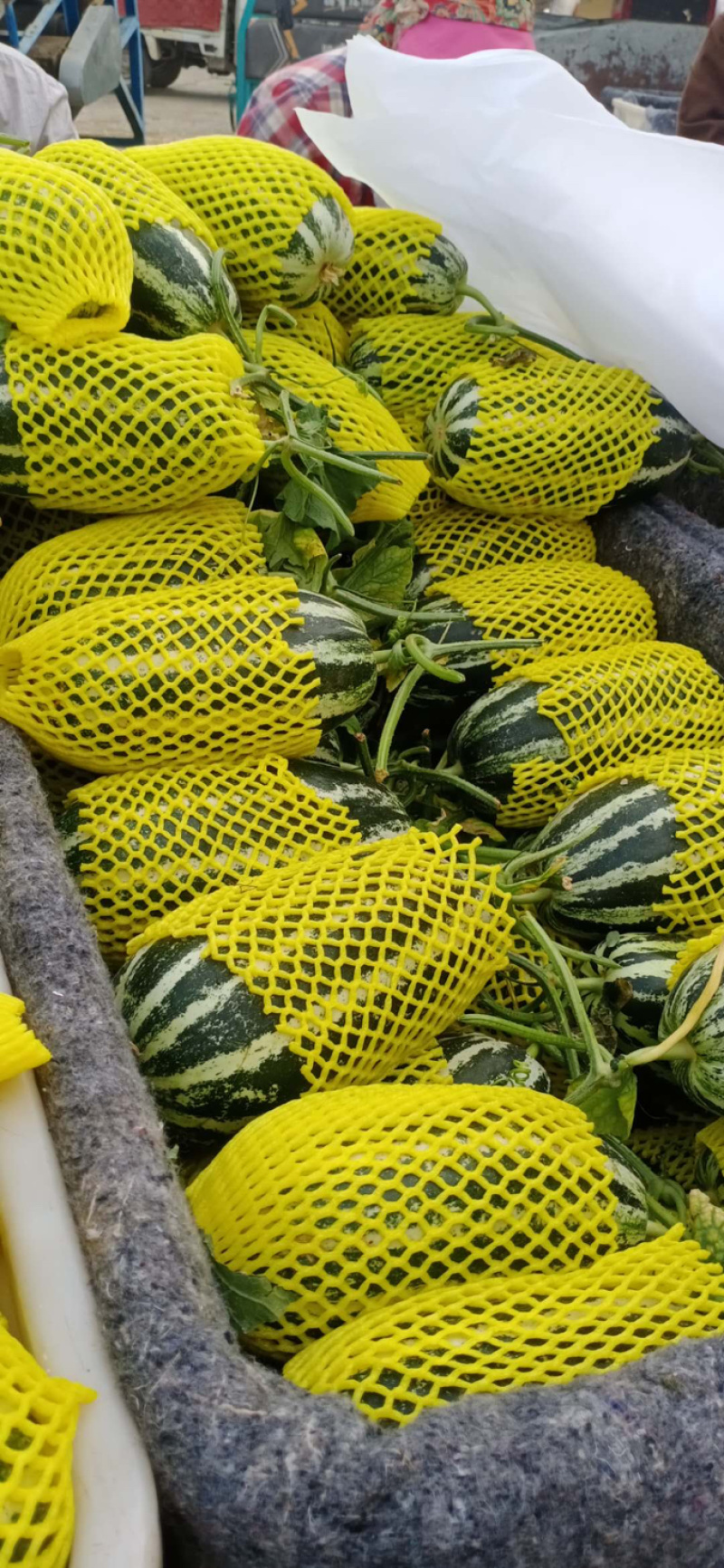 【热销】博洋9号甜瓜，皮薄肉厚基地直销保质保量持续时间长