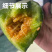【热销】博洋9号甜瓜，皮薄肉厚基地直销保质保量持续时间长