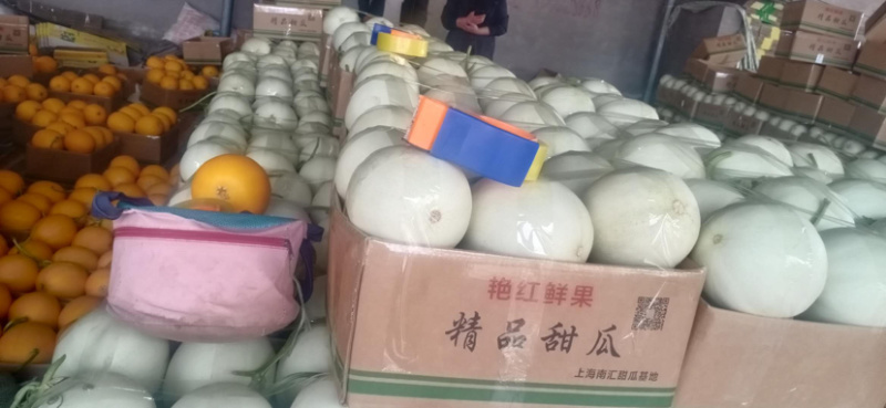 【热销】冰清玉姑甜瓜大量上市品质保障甜度高耐运输产地发货
