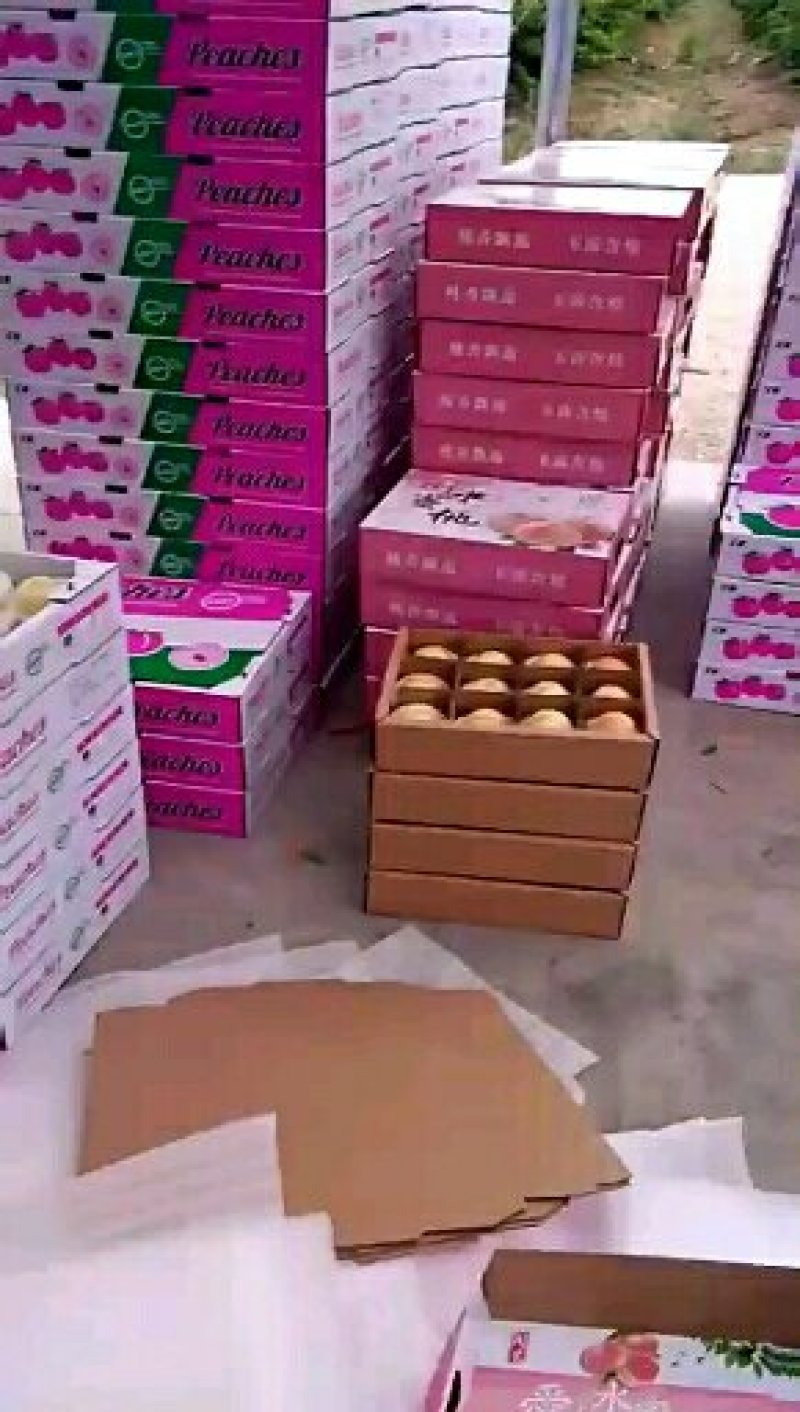 新沂水蜜桃开始订货，走车老板快来看下吧