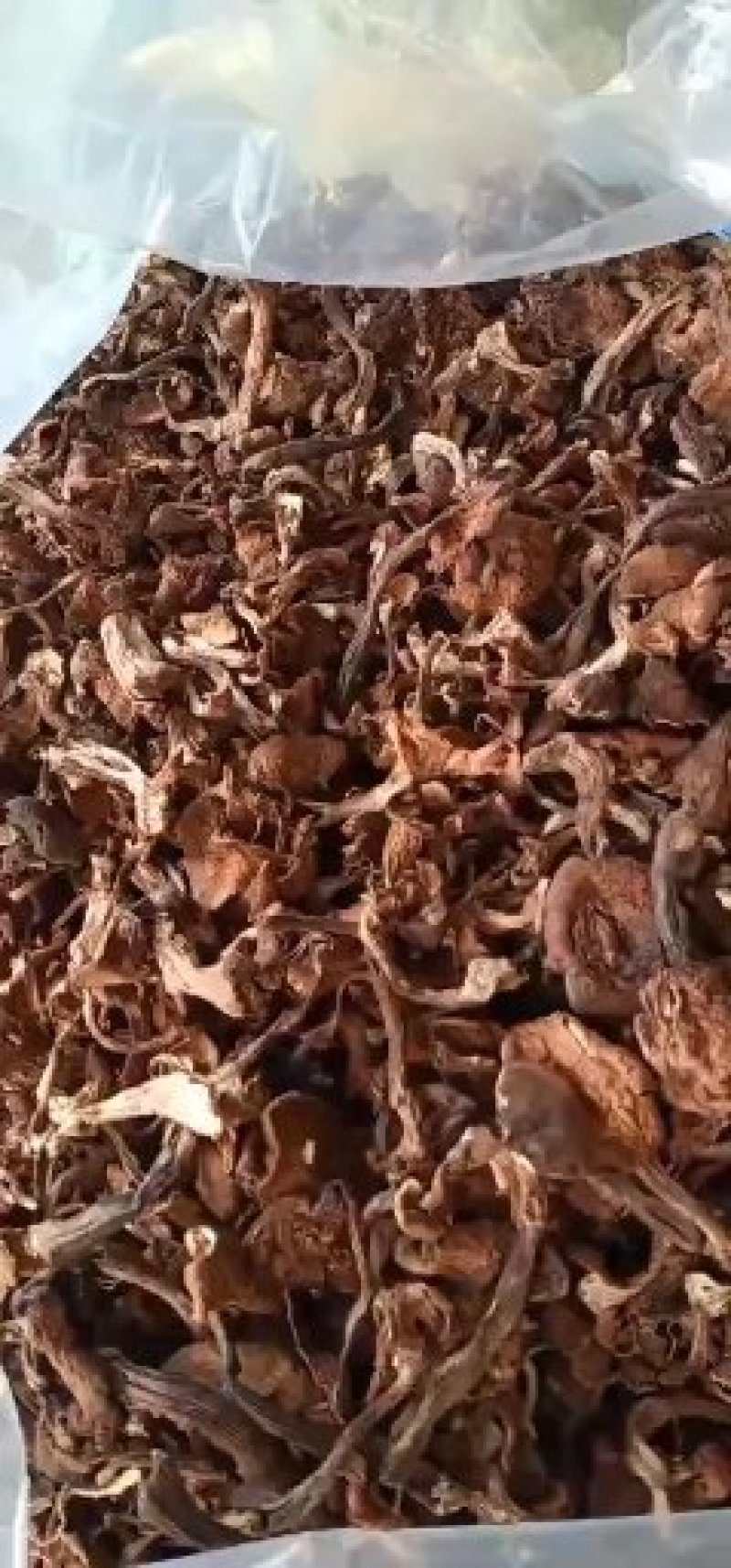 榛蘑去根，有烘干的，有晒干的，有丁，有片蘑菇，产地直销。