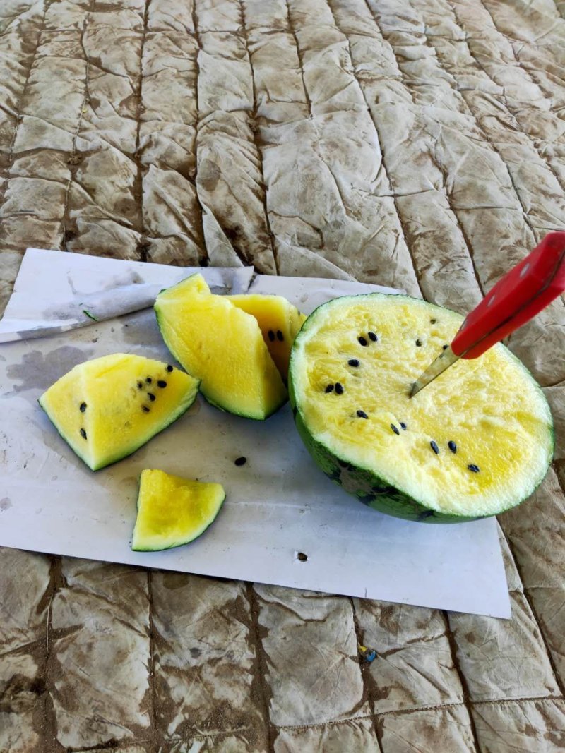 甜王西瓜纯沙地口感好质量保证