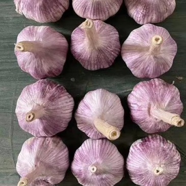 大蒜
