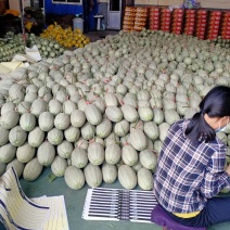 西州蜜耀珑25号。糖度18个，麻纹好，糖度高