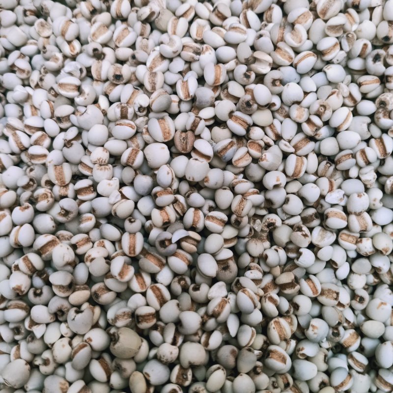 薏米仁薏苡仁贵州先薏苡仁无杂质另有大薏米