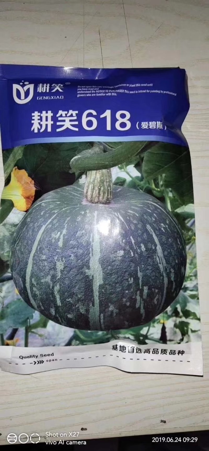 内蒙古绿板栗南瓜专业供货货量大质量过关一手货源