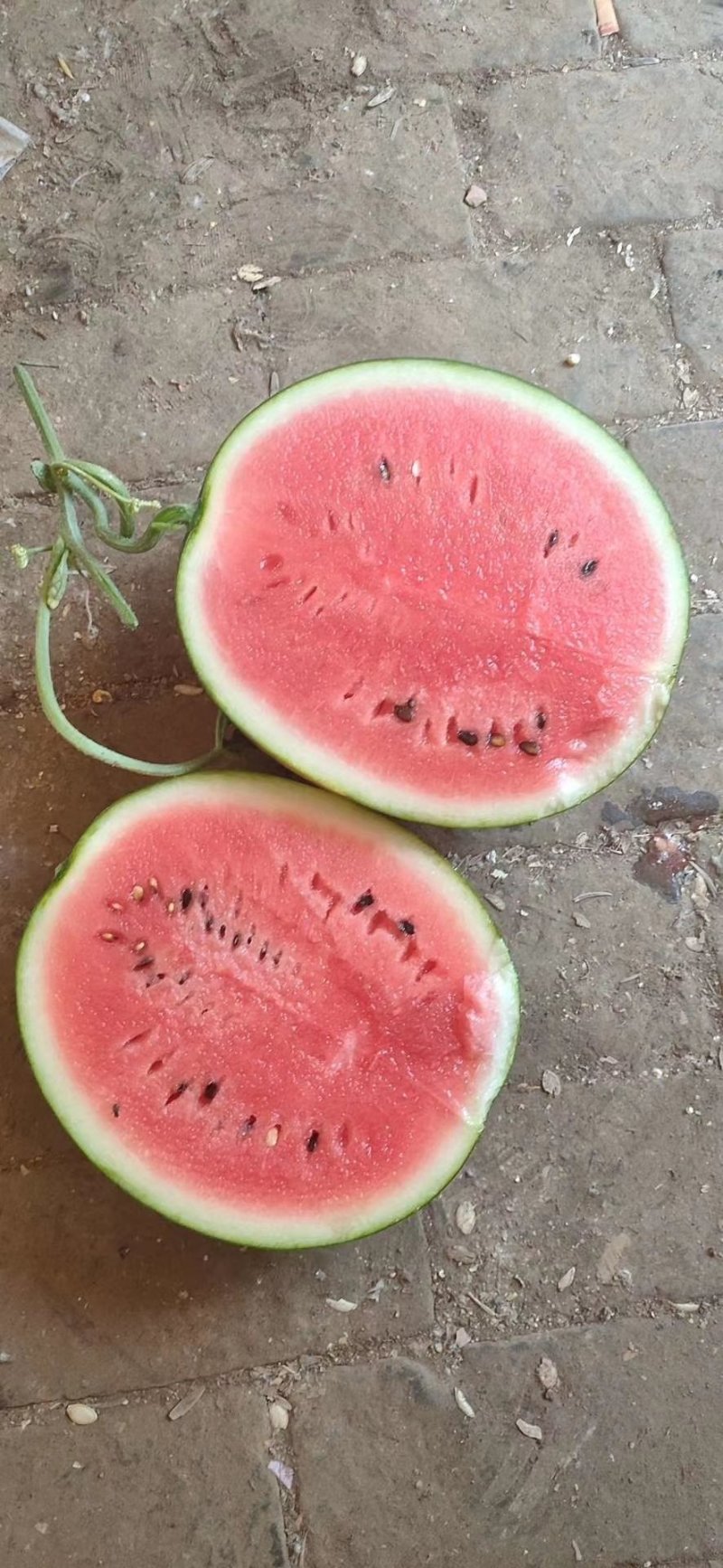 西瓜