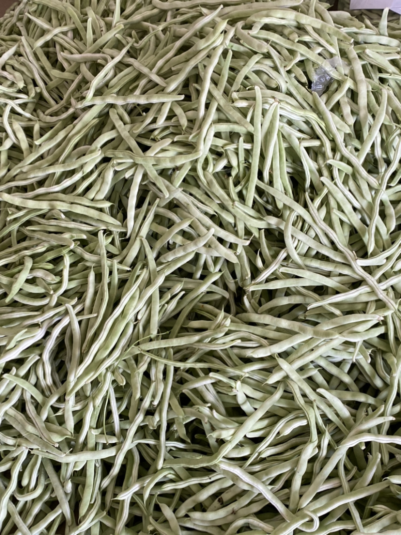 豆角，白豆角，芸豆，白大架，白芸豆。白不老