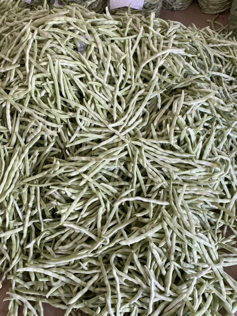 豆角，白豆角，芸豆，白大架，白芸豆。白不老