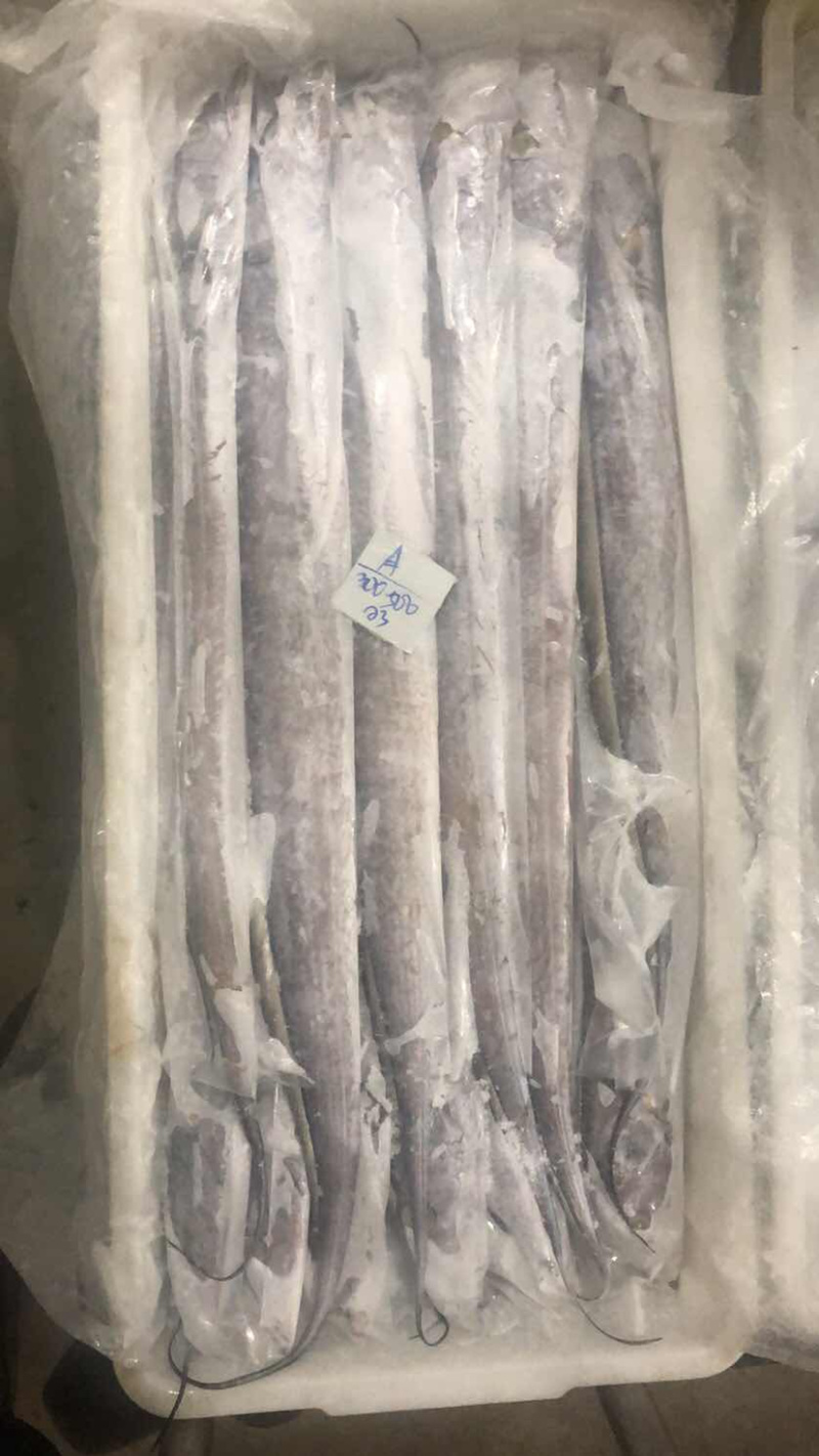 印尼拖网带，一手货源，印尼自己的加工厂，各规格齐全