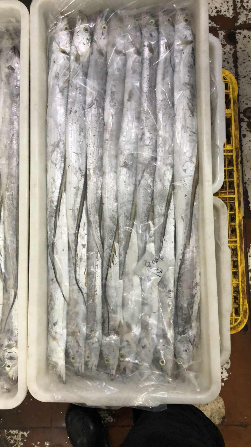 印尼拖网带，一手货源，印尼自己的加工厂，各规格齐全