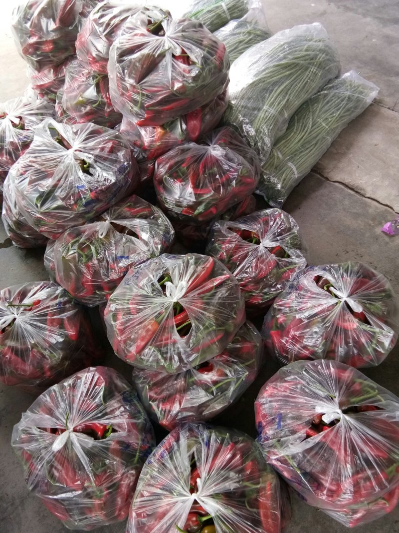 红海椒（新鲜大红海椒现货供应）