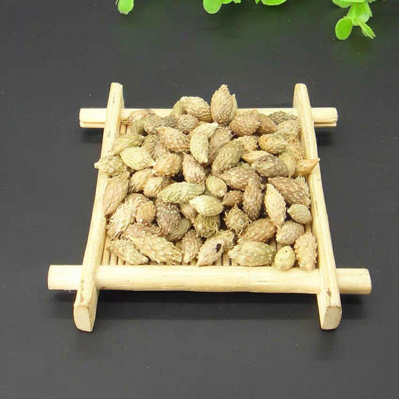野生去刺苍耳子熟野生高含量少杂质大货