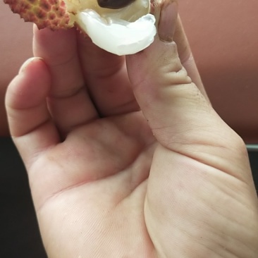 桂味大量上市