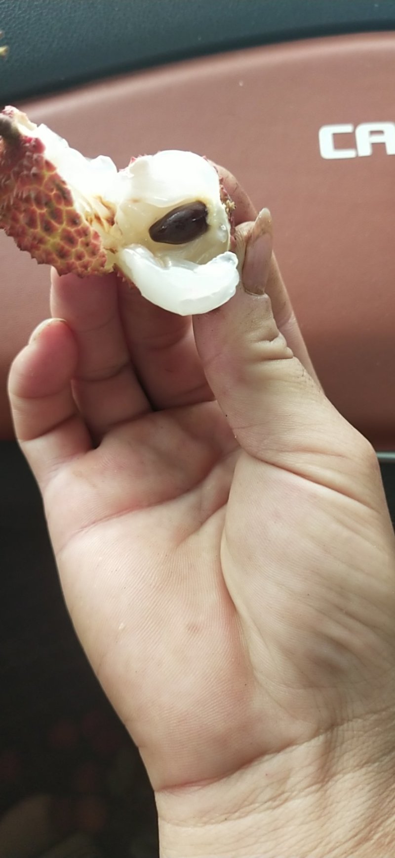 桂味大量上市