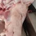 猪头，国产无耳朵猪头，量大从优，感兴趣的欢迎光临！