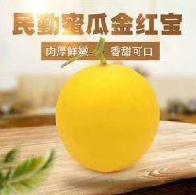 甘肃民勤金红宝蜜瓜，电商一件代发，全国包邮，品质保证