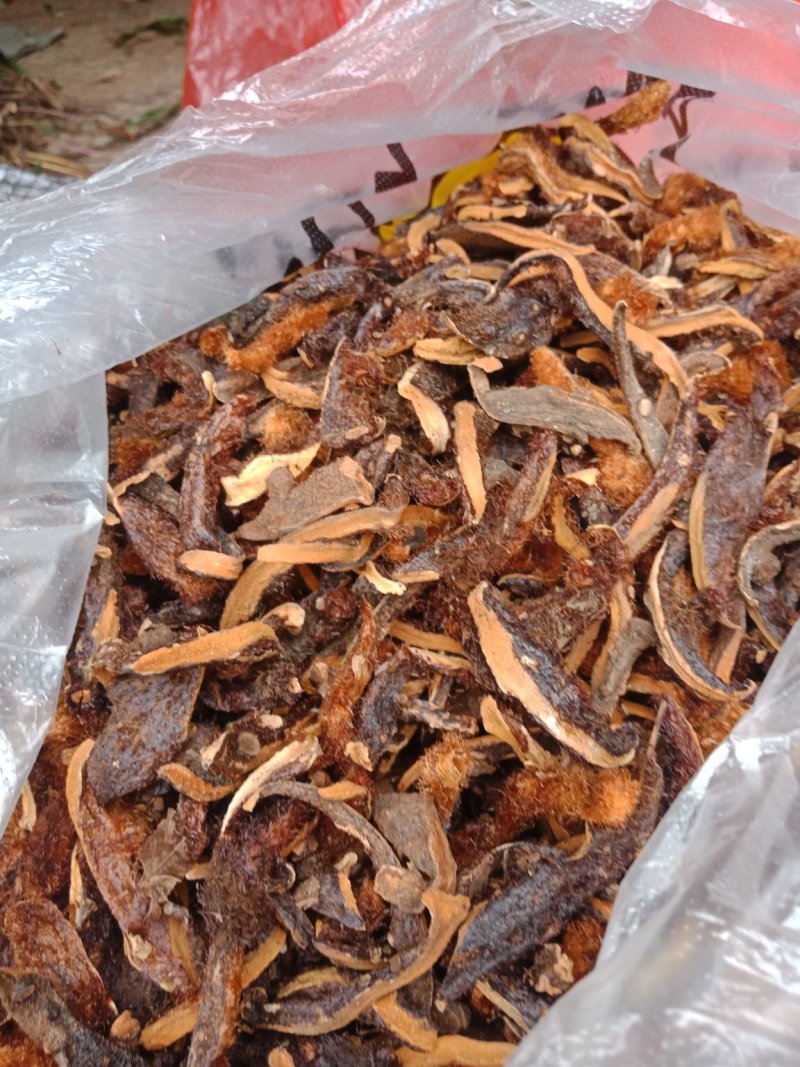 精品骨碎补，纯野生中草药