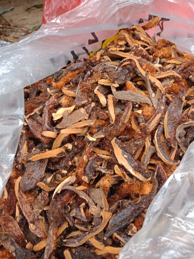 精品骨碎补，纯野生中草药