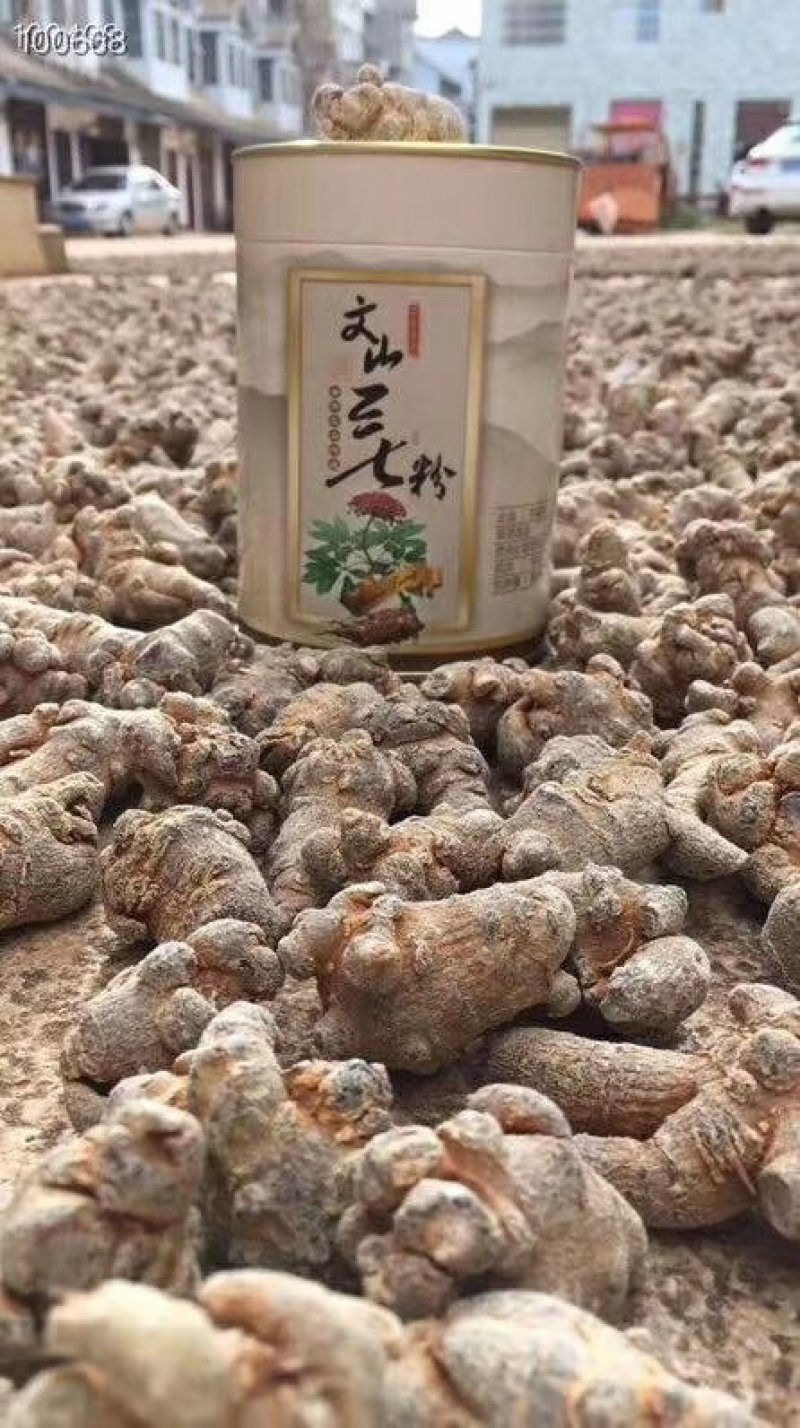 长期有货的正宗三七24小时在线服务品质出众